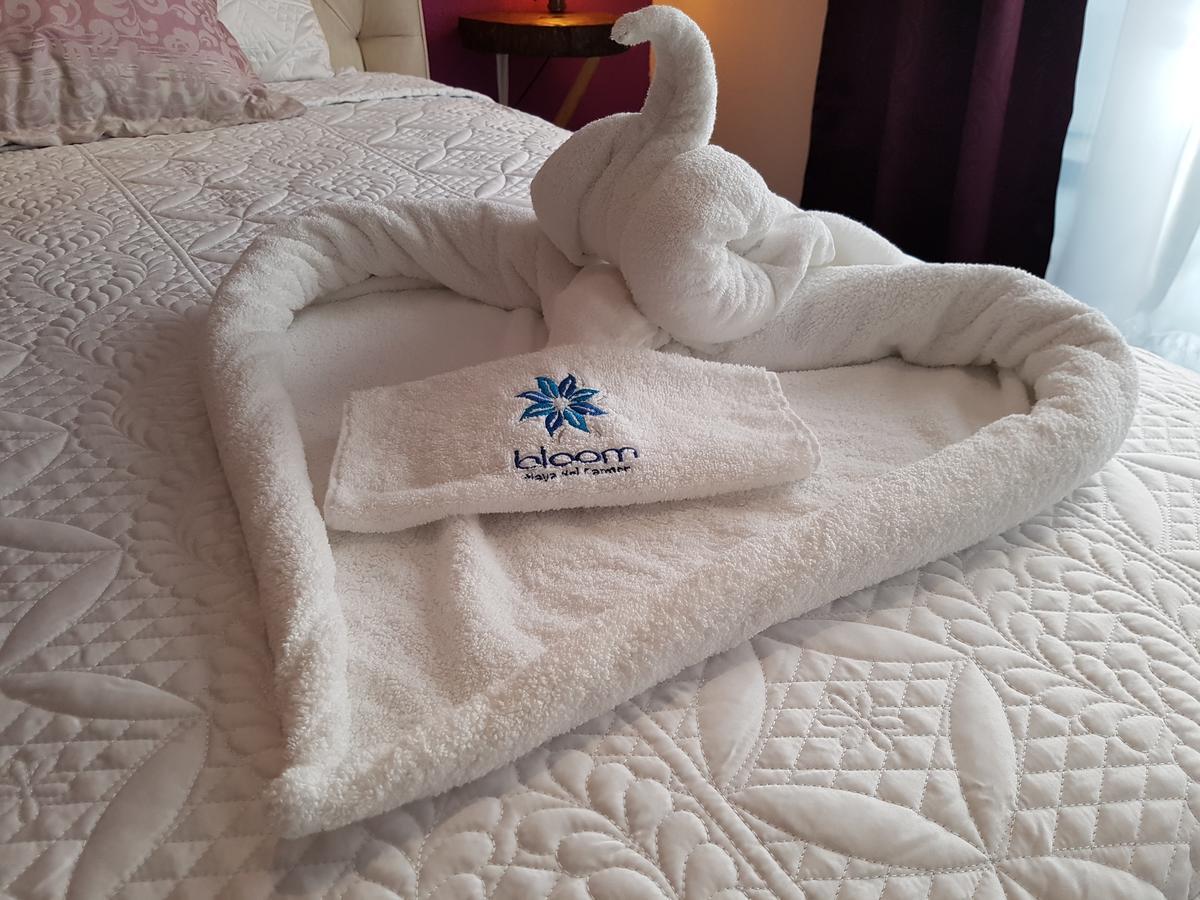 Bloom! Exclusive Boutique B&B (Adults Only) Playa del Carmen Esterno foto