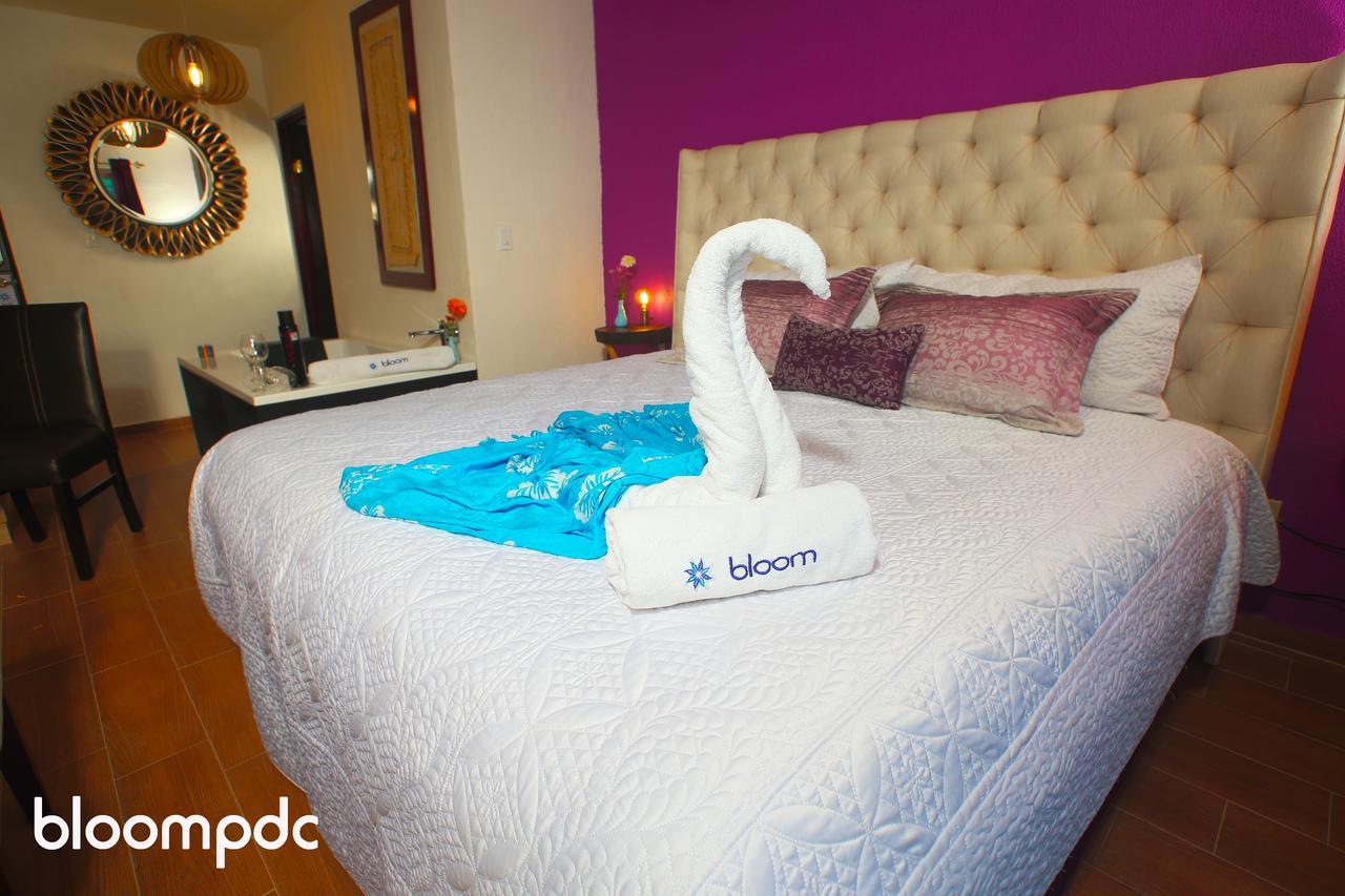 Bloom! Exclusive Boutique B&B (Adults Only) Playa del Carmen Esterno foto